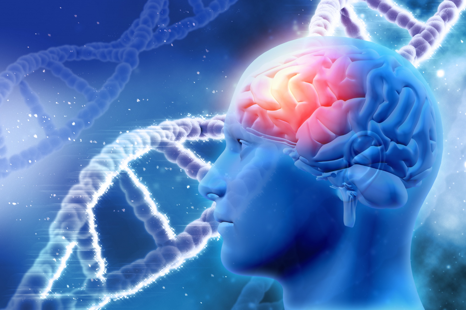 Brain chemicals